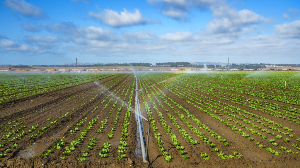 Providing water treatment for the Agriculture sector to meet regulatory standards.